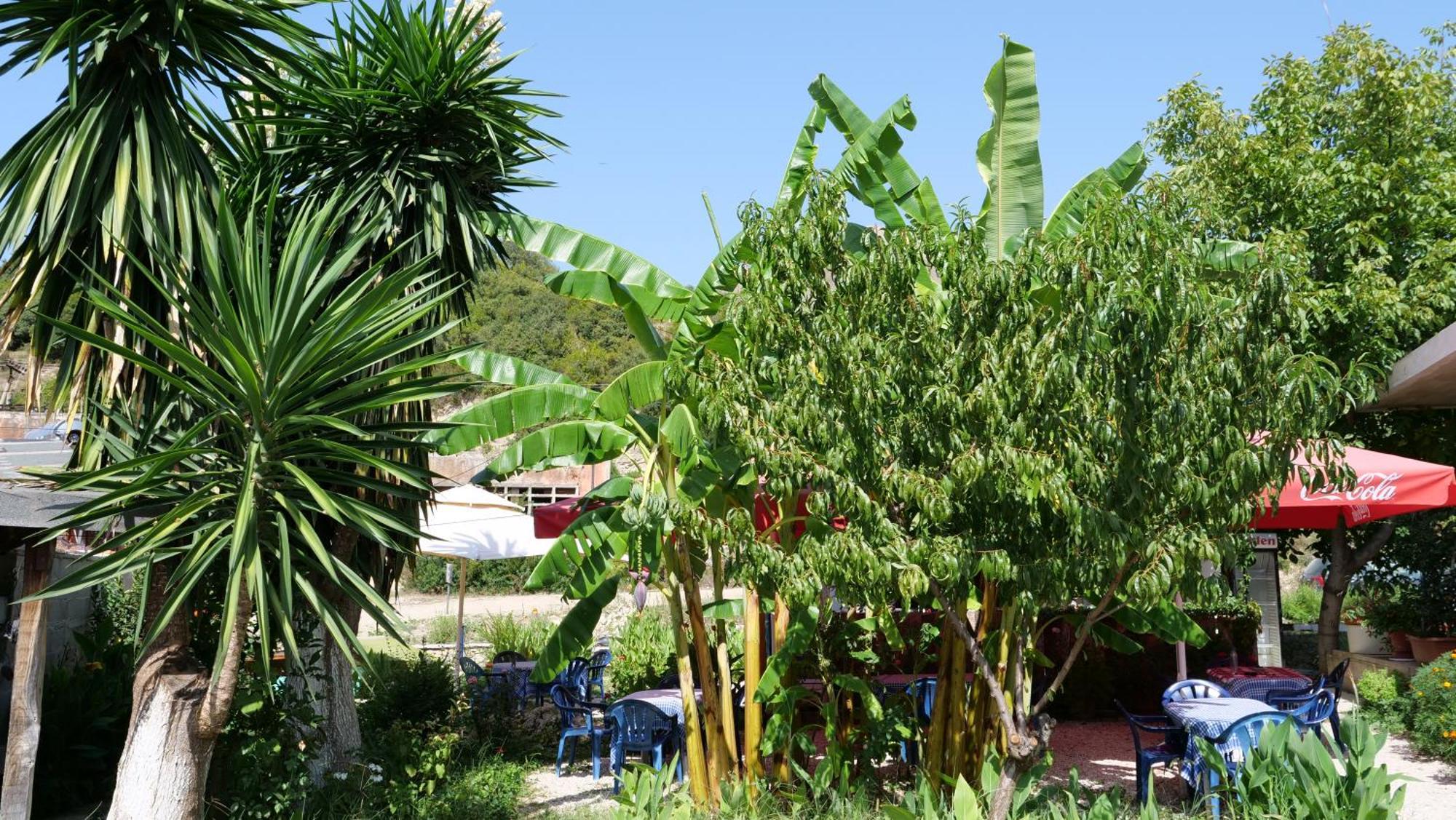 Bunec Seascape Villa Piqeras ภายนอก รูปภาพ